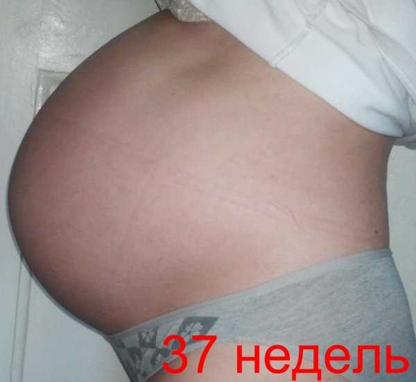 37 неделя беременности: развитие малыша на 37 неделе беременности.