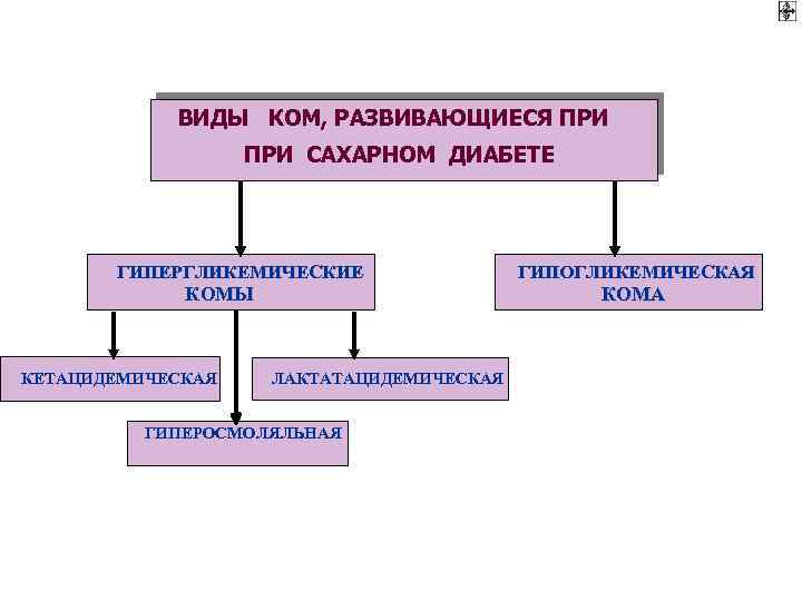 Схема развития диабетических ком