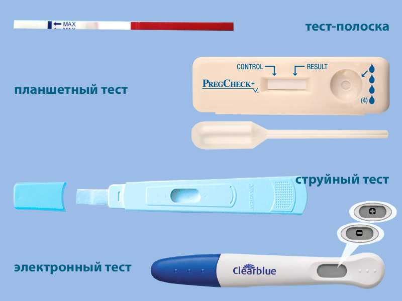 Тест на беременность clearblue easy, digital, plus: инструкция по применению электронного устройства