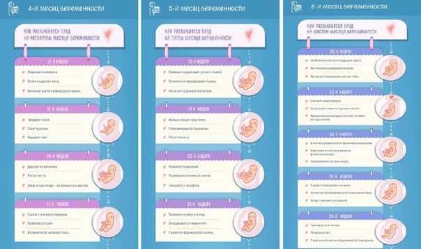 Симптомы при имплантации эмбриона | клиника «центр эко» в калининграде